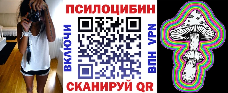 Купить  Стерлитамак  Псилоцибиновые грибы Psilocybine cubensis 